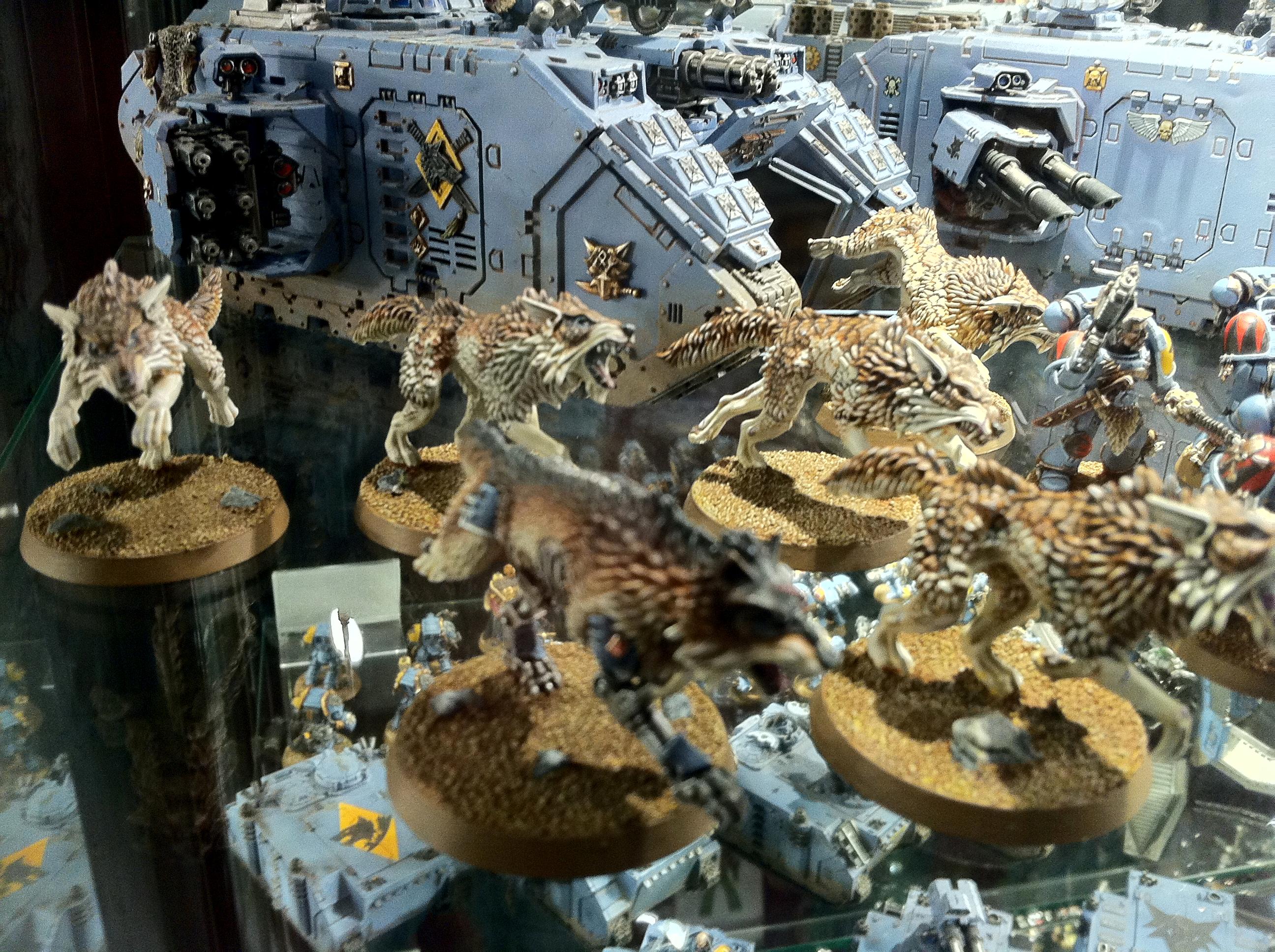 Battle Brothers, Warhammer World Gallery DakkaDakka